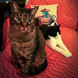 Vmetrios's profile picture. 