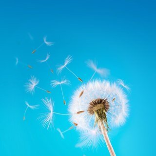 현실을 인정하기 어려우면 바꿔야지 ! 
마냥 한탄하며 기다리기만 할건가?