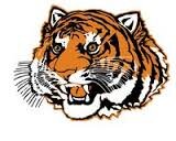 Tiger Transcript
