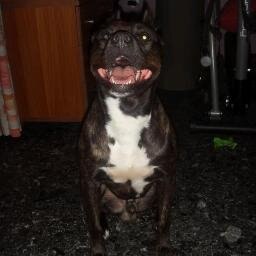 xristos92317794's profile picture. 