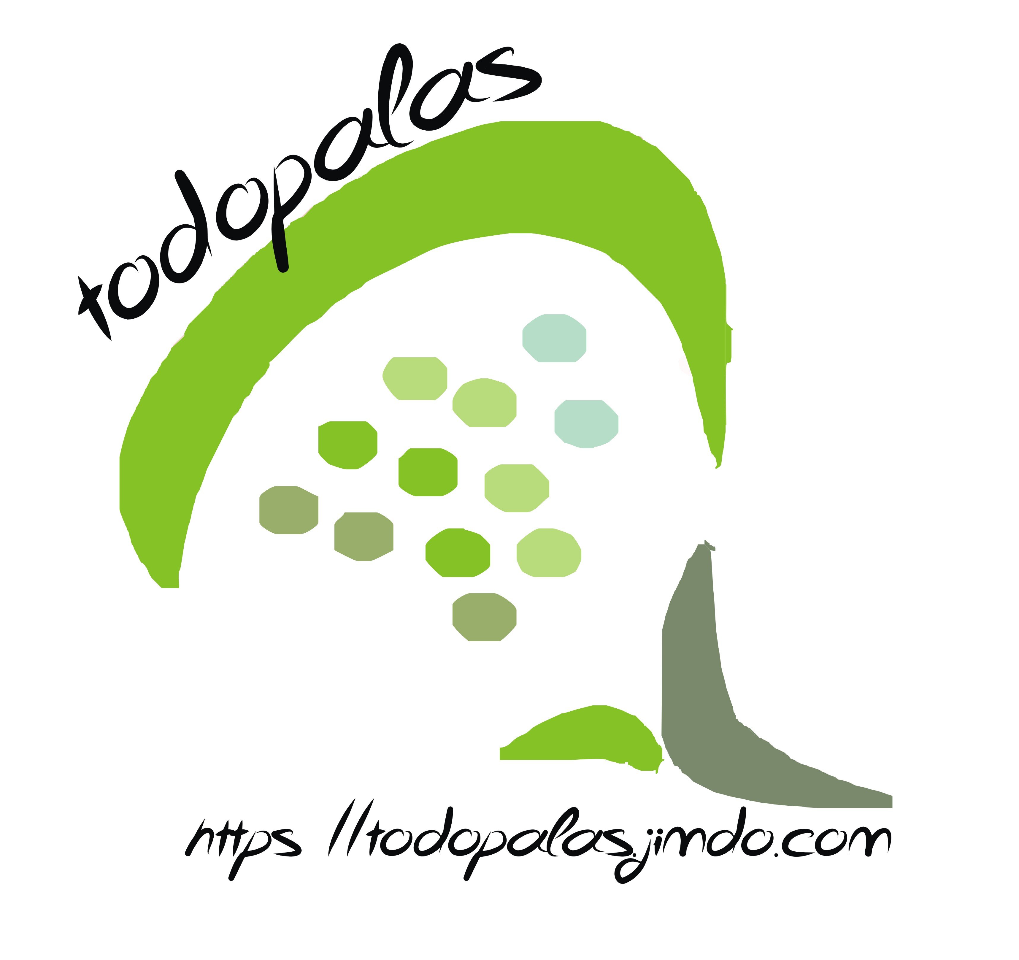 ¡Palas de Alta GAMA a precios de LOCURA!. Trabajamos con la mejores marcas. De forma totalmente garantizada. Pásate por nuestra WEB: http://t.co/tN1tY9fYGe