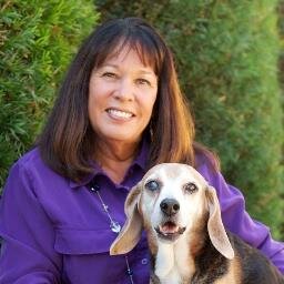 jscaron's profile picture. 