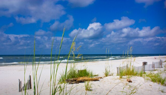 OnoRealEstate's profile picture. Beautiful Beach Homes for Sale on Ono Island in Orange Beach, Alabama 36561 - Find Your Slice of Paradise Here!