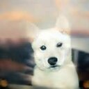 kathy keen - @keensize - Twitter