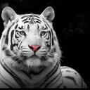 Sarah Colston - @sarahcolstonxxx - Twitter