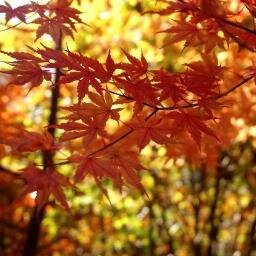 resolver_5270's profile picture. 