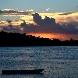 ulgofotos's profile picture. 