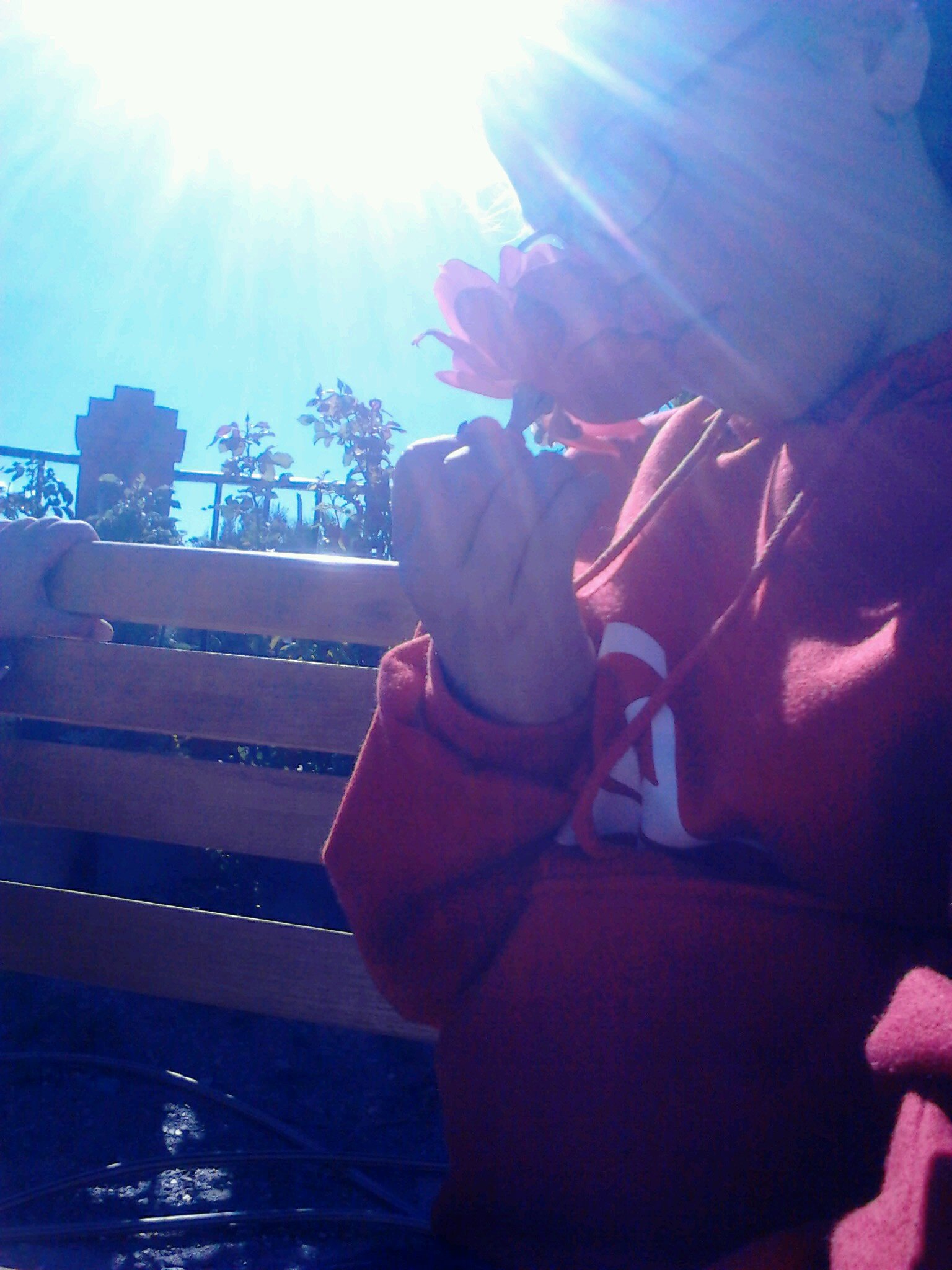 alba12jp's profile picture. 