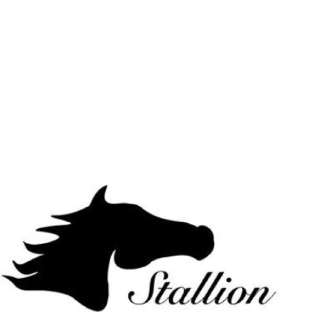 StallionUF's profile picture. Vi är ett företag som vill underlätta och hjälpa mindre företag samt föreningar med profilartiklar för anställda, giveaways samt inför event. T.ex. t-shirtar.