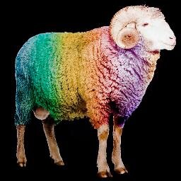 _bestversion's profile picture. 