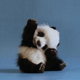 MissBon_Ton Profile Picture