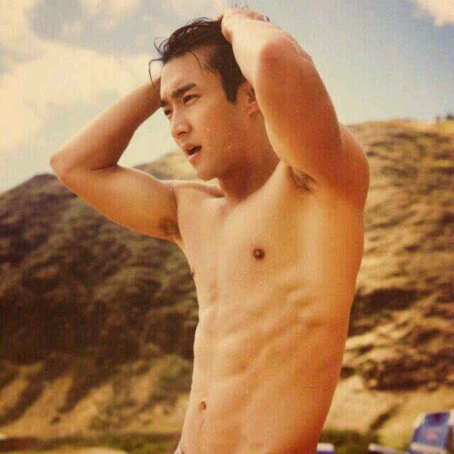 Febby dwianti || fangirl choi siwon || ELF || super junior || 13 + 2 always together