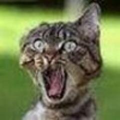 swathgechycont's profile picture. Живи и жить давай другим