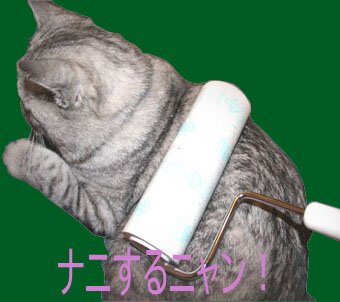 始めちゃいましたにゃん
お風呂入ってのんびりつぶやくにゃん