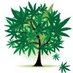 Sheer Cannabis (@sheercannabis) Twitter profile photo