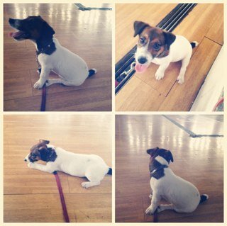 chasehardware's profile picture. 