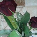 12345 (@097poiuy91) Twitter
