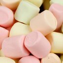 Daisy Miller - @savethedaisies - Twitter