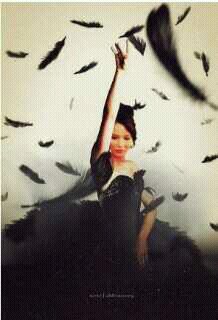 Book lovers never go to bed alone. Jlaw. Lea. Gleek. Nefilim. Tribute. Hoster.