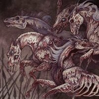 EVERGREEN TERRACE (@evergreenterrac) 's Twitter Profile