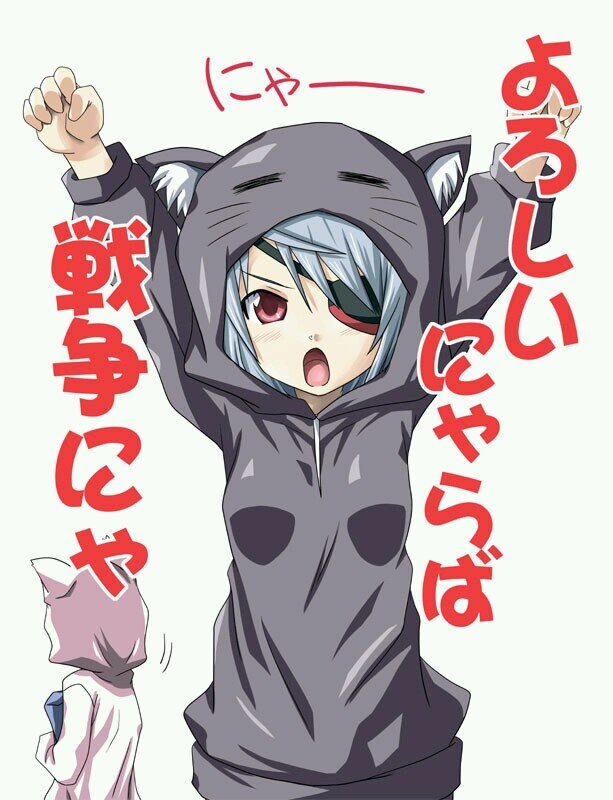 アニメ大好き！ひっきーの生き方かっこいいよね！