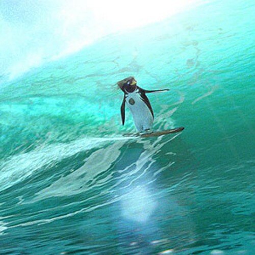 Surfboards, Skateboards, Wetsuits, Lessons, Scooters & Beach Fun