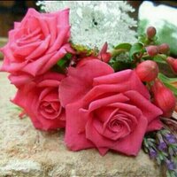 رائحه المطر  (@almstkbal3822) Twitter profile photo