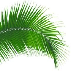 BodyPalapa's profile picture. 