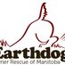 EarthdogTerrierRescu (@EDTRMB) Twitter profile photo