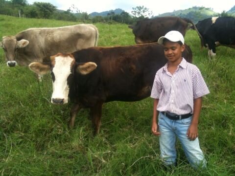 FernandoJosueG3's profile picture. 