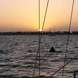 Stockers's profile picture. Ex tech and fintech PR. Classicist and sailor. Now a ship's officer. Strictly unofficial...