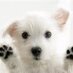 brenda (@brenda6262) Twitter profile photo brenda (@brenda6262) Twitter profile photo