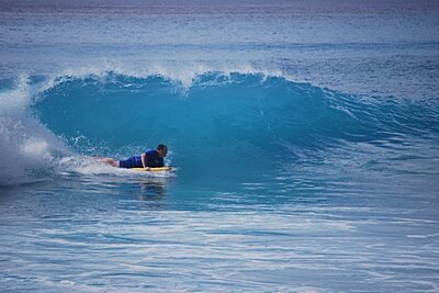 ThePhoenicSoul's profile picture. Wondrous is our great blue ship that sails around the mighty sun and joy to everyone that rides along