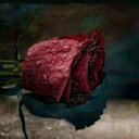 آلُدِلُۆعٍہ ☆ (@0531221227m) Twitter