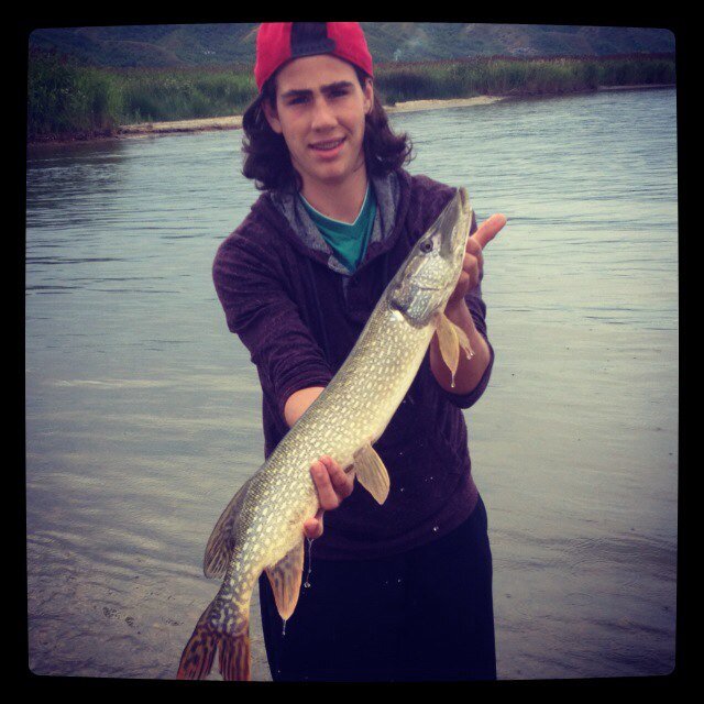 jasonbruce14's profile picture. I like to kill things