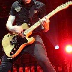 guitarra votadora do taylor york