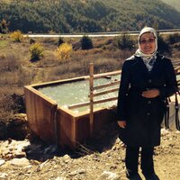 Songül Şimşek 🇹🇷🟢 (@songulsimsek2) 's Twitter Profile
