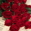 ام سلسبيل (@0595857333) Twitter