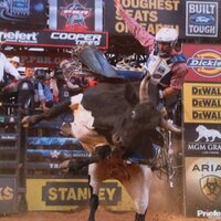 Brady Sims (@bs_simba) 's Twitter Profile