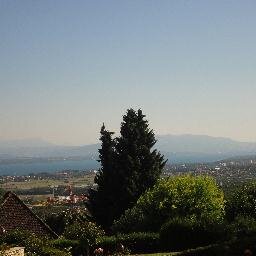 infograndlancy's profile picture. Fine arts, fine properties,. fine wines