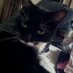 cathy dawson (@cathyda33290147) Twitter profile photo cathy dawson (@cathyda33290147) Twitter profile photo