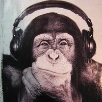 Tom Kehr (@tomkehr) 's Twitter Profile