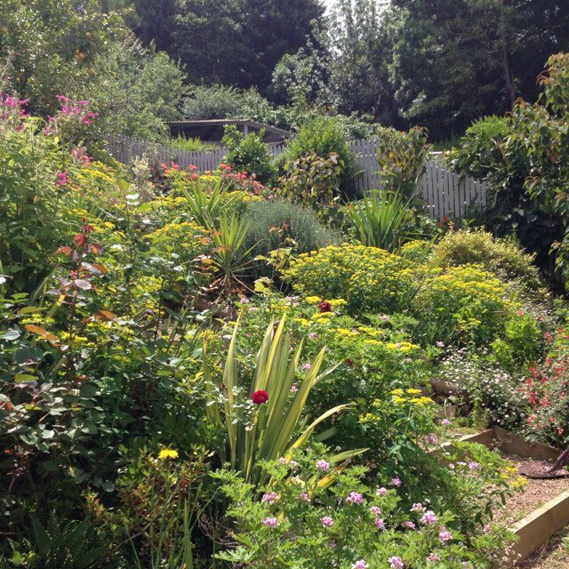 MegBrodtmann's profile picture. 