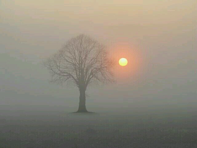 santaclaus_1's profile picture. Ho!Ho!Ho! Merry Christmas and a Happy New Year. Follow meee..         :-P       ;-)