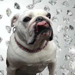 White Bear Lake's premier custom jewelry store.