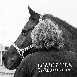 Paardrijden en fotograferen!