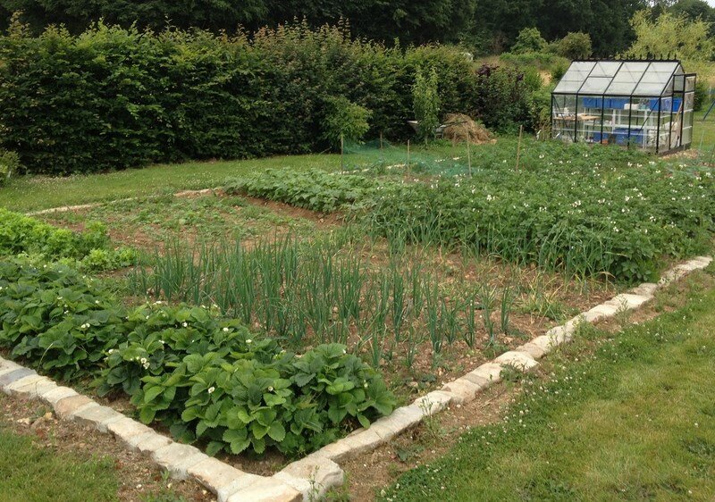 Passionné de #jardinage, je vous fais partager mon expérience à travers mes activités au #jardin sur le blog
http://t.co/0kup2BsOef