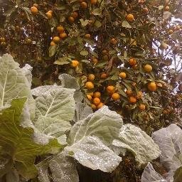 DOĞA ÖZELLİKLE DAĞ VE DERE TUTKUNUYUM, DERİ MONT TUTKUNUYUM, HAYVANLARI SEVERİM, DUYGUSALIM, DOST CANLISIYIM