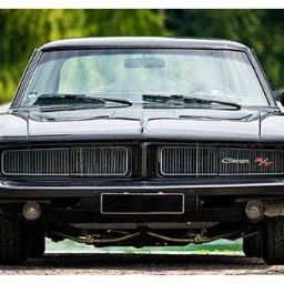 temery3's profile picture. 