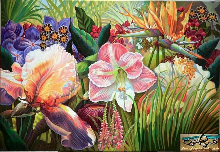 bder11846's profile picture. 